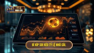 Kinh nghiệm đọc tỷ lệ bóng đá bất bại dành cho cược thủ chuyên nghiệp